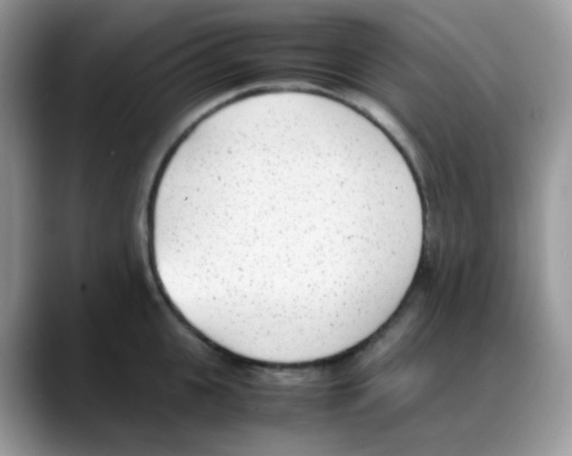 X0000088150951200706111441