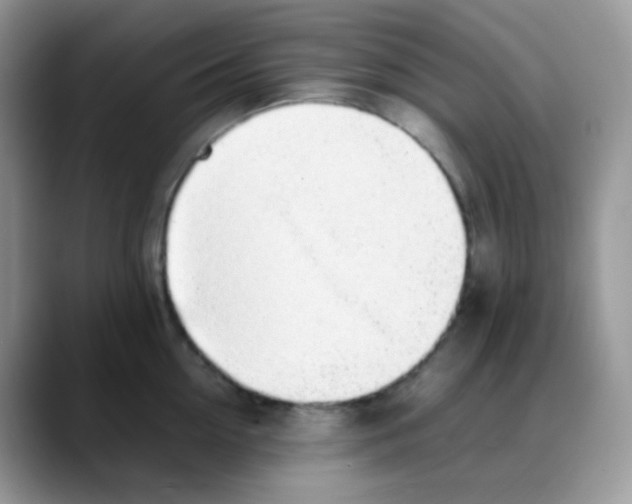 X0000088150954200706111441