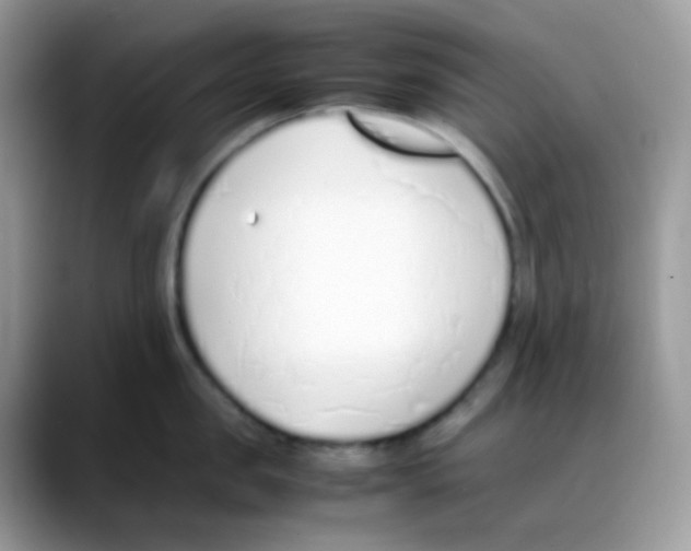 X0000088150957200706111441