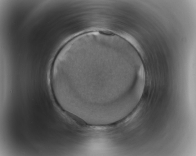 X0000088150958200706111441