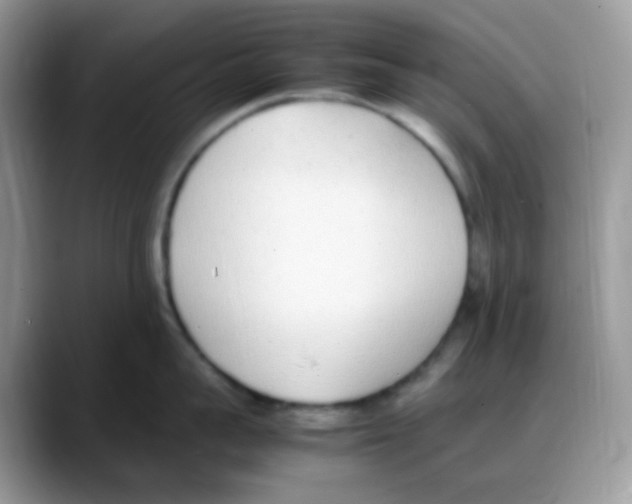 X0000088150959200706111441