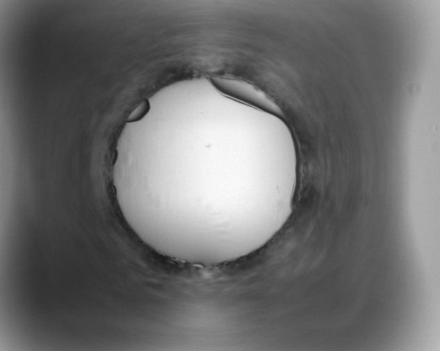 X0000088150961200706111440