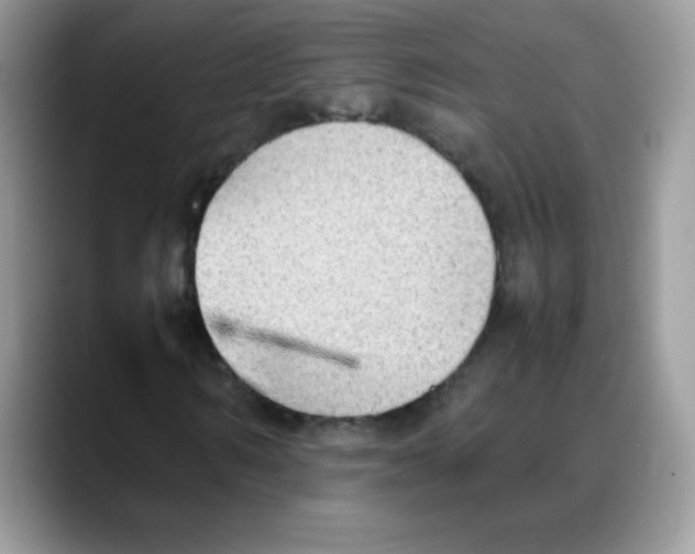 X0000088150962200706111440