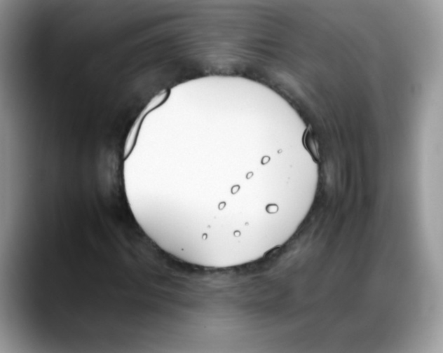 X0000088150964200706111440