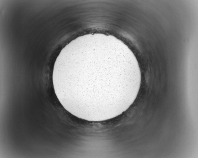 X0000088150968200706111440