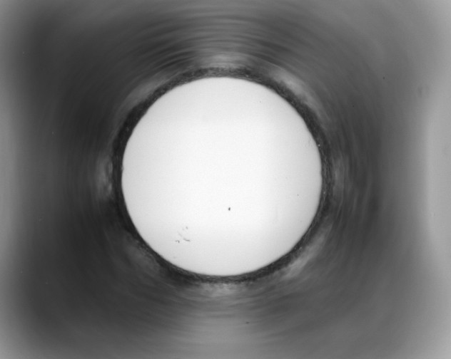 X0000088150970200706111440