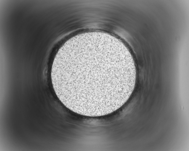 X0000088150971200706111440