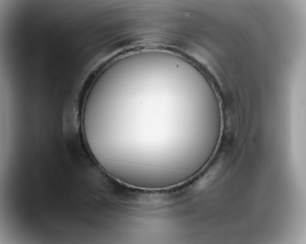 X0000088150973200706111440