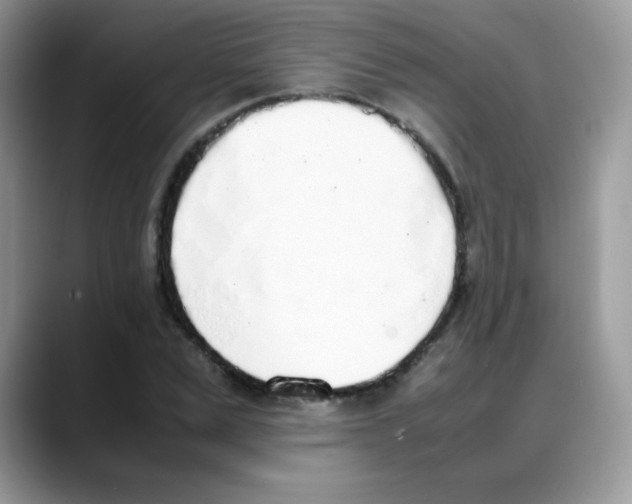 X0000088150975200706111440