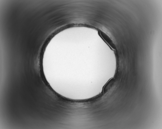 X0000088150976200706111440