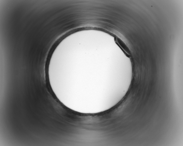 X0000088150980200706111440