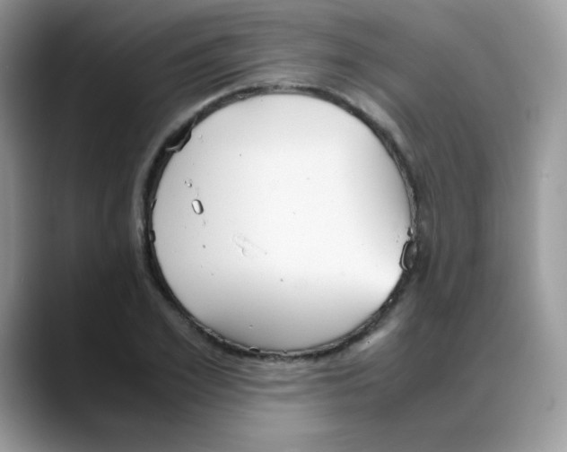 X0000088150981200706111440