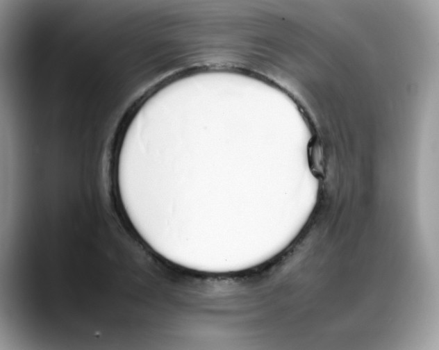 X0000088150983200706111440