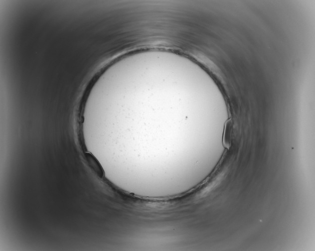 X0000088150989200706111440