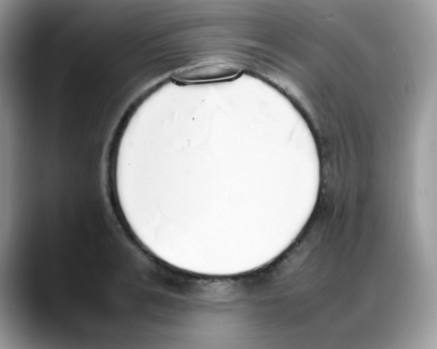 X0000088150991200706111440