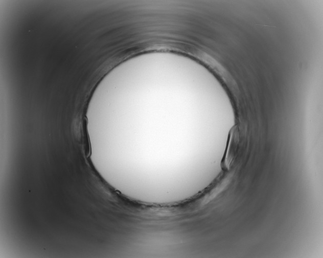 X0000088150993200706111440