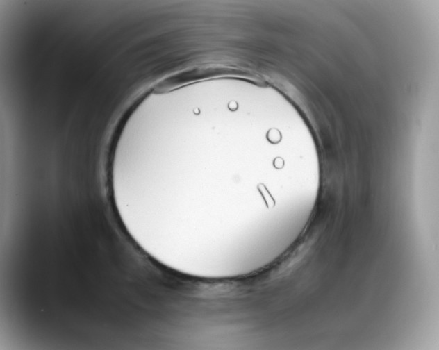 X0000088150997200706111440