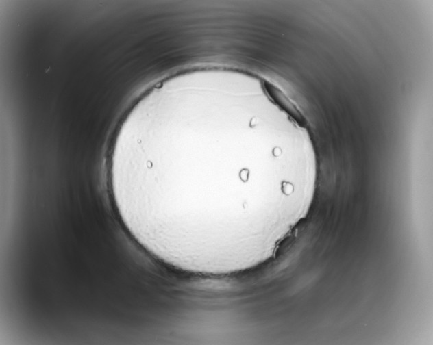 X0000088150998200706111440