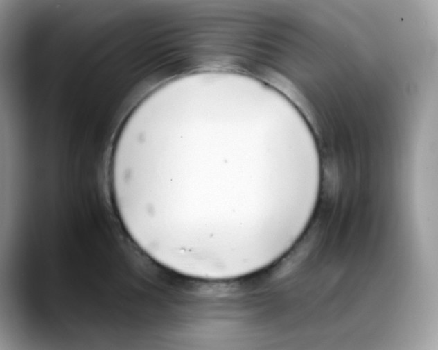 X0000088151002200706111440