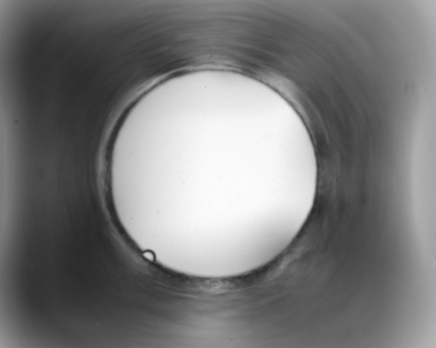 X0000088151003200706111440