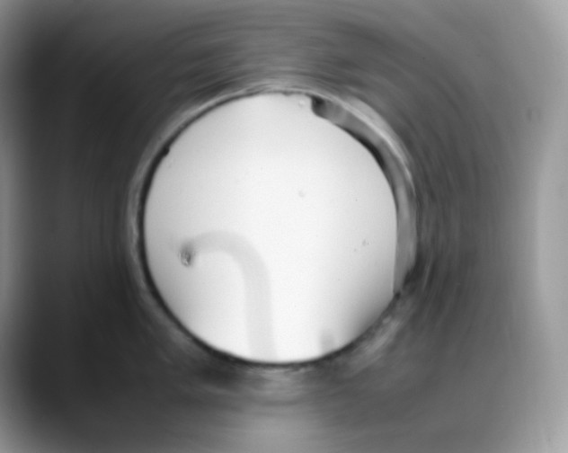 X0000088151005200706111440