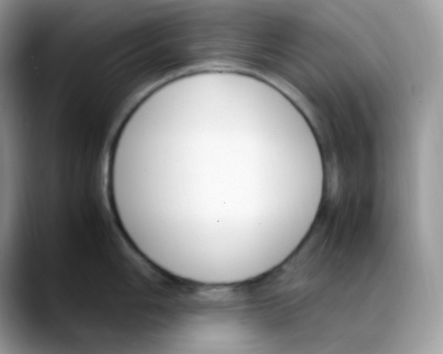 X0000088151006200706111440