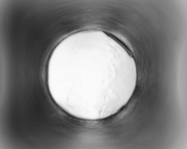 X0000088151007200706111440