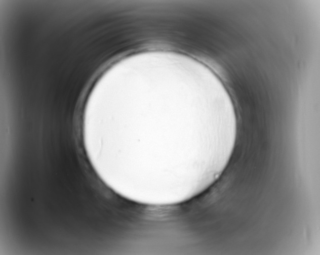 X0000088151008200706111440