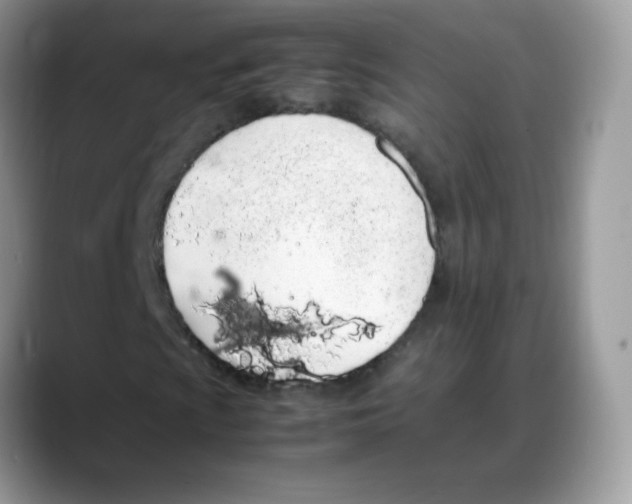 X0000088151009200706111439