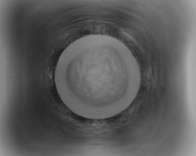 X0000088151013200706111439