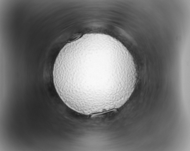 X0000088151014200706111439