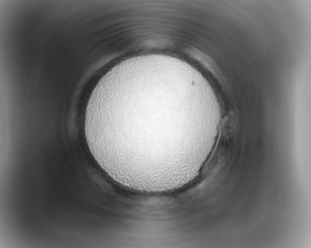 X0000088151018200706111439