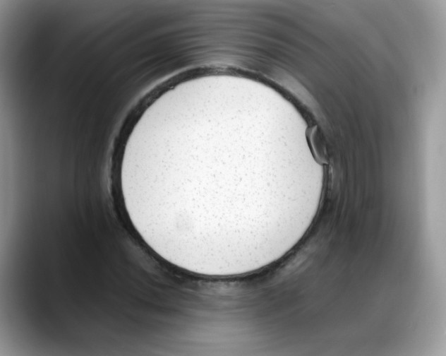 X0000088151020200706111439