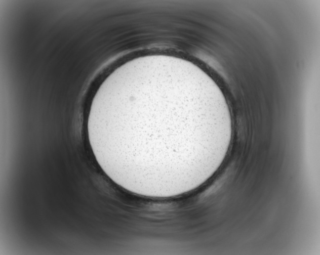 X0000088151021200706111440