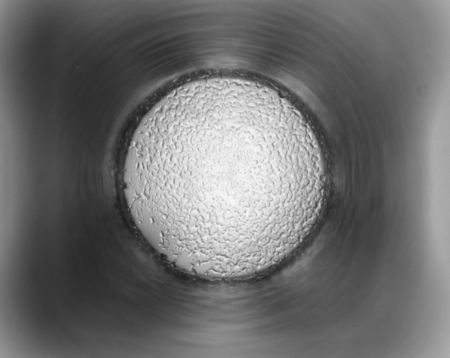 X0000088151022200706111440