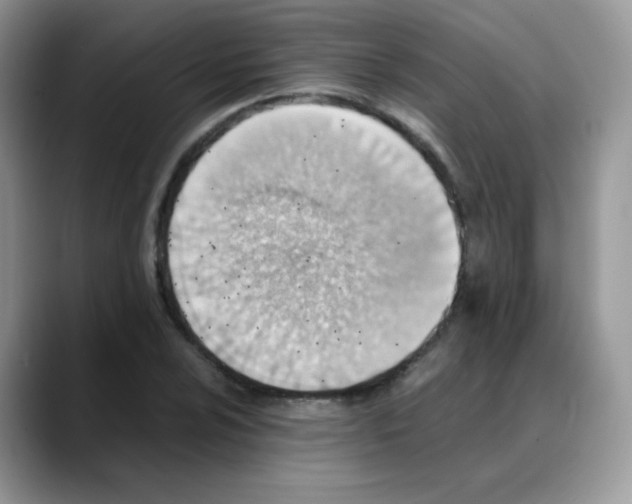 X0000088151024200706111440