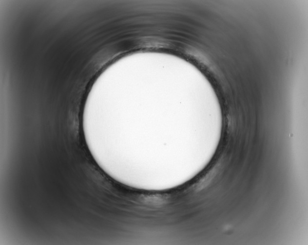 X0000088151025200706111440