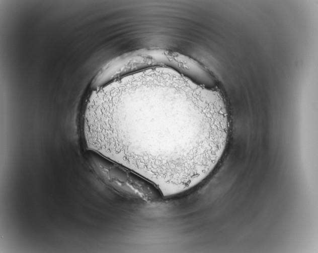 X0000088151026200706111440