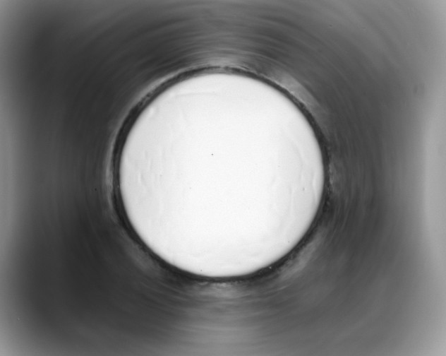 X0000088151028200706111440