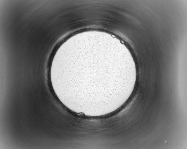 X0000088151029200706111440