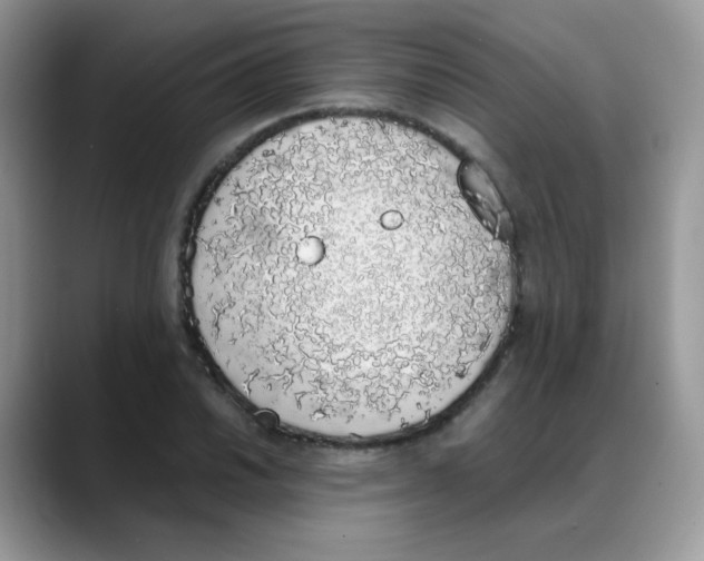 X0000088151030200706111440