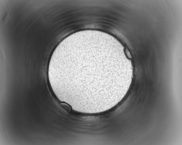 X0000088151033200706111440