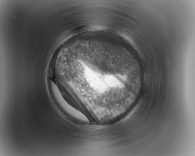 X0000088151034200706111440