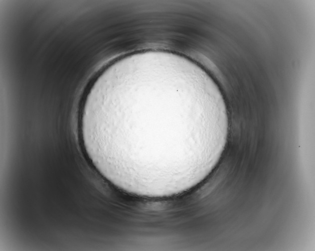 X0000088151035200706111440