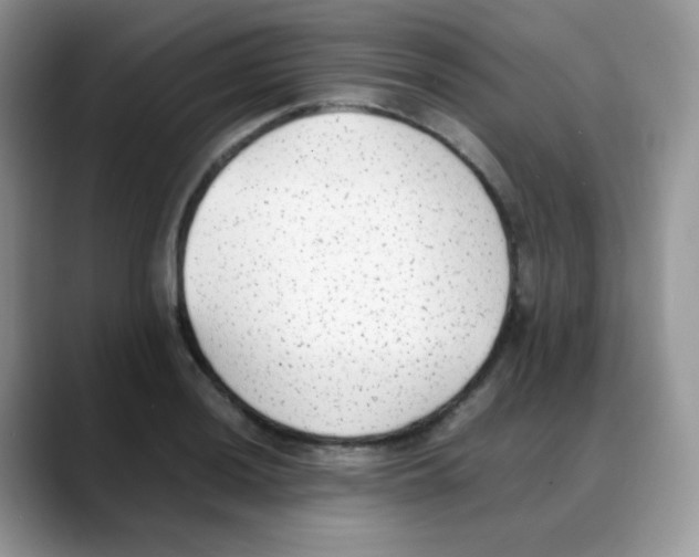 X0000088151036200706111440