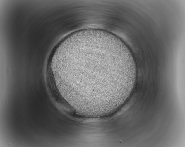 X0000088151038200706111440