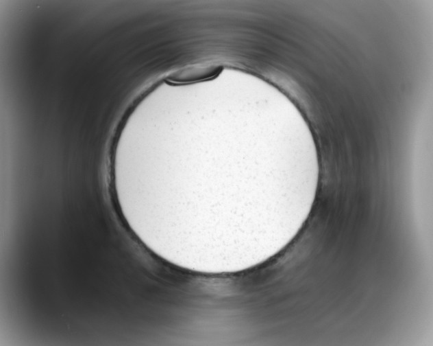 X0000088151040200706111440