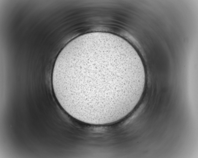 X0000088151041200706111440