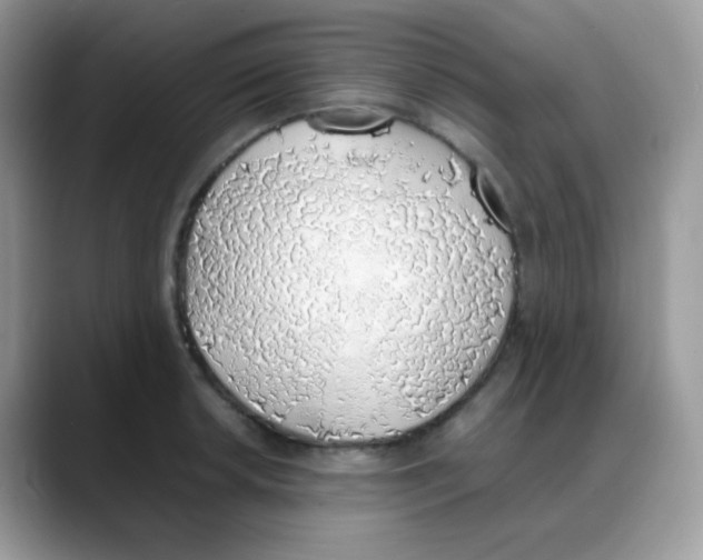 X0000088151042200706111440