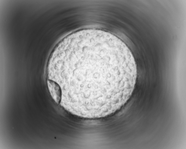 X0000088151044200706111440